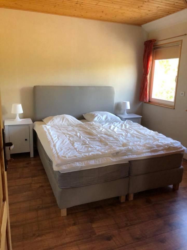 Apartamenty Beata Wisełka Eksteriør bilde